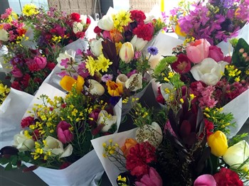 Gardens & Garden Centres 